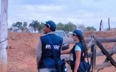 IBGE abre concurso para mais de 200 mil vagas temporárias para Censo