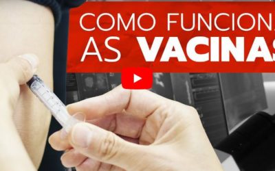 Examinando: como uma vacina age no organismo?