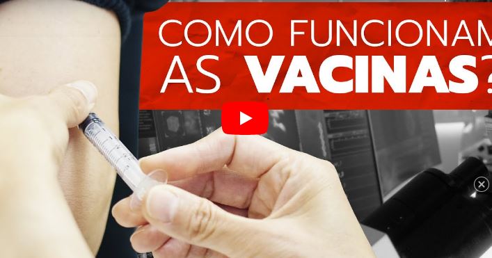 Examinando: como uma vacina age no organismo?