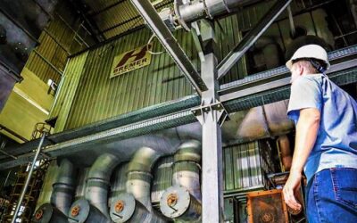 Arroz que vira energia: como esta empresa transforma resíduos em eletricidade
