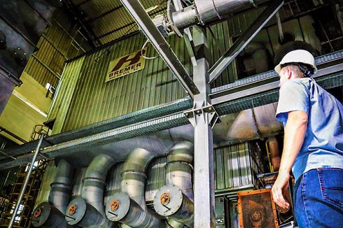 Arroz que vira energia: como esta empresa transforma resíduos em eletricidade