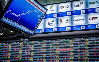 As ações que pagam dividendos mais indicadas para fevereiro