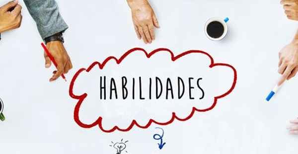 6 habilidades que podem fazer a diferença para ser efetivado no estágio