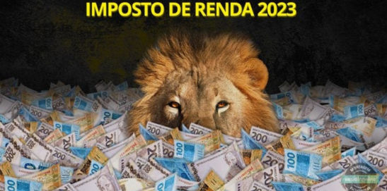 Saiba Como Proceder Em Caso De Não Recebimento Da Restituição Do Imposto De Renda 2023